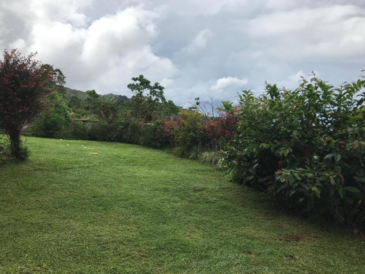Tropical Garden Self Catering Villa Victoria Luaran gambar
